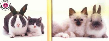 quelle  resemblance!!!!