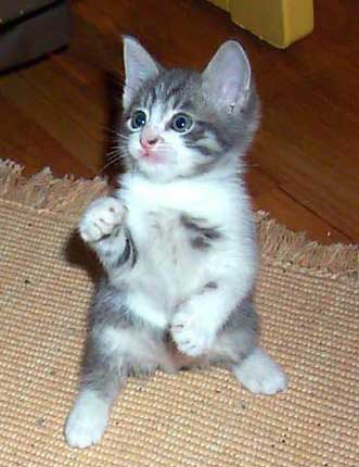un petit coucou a toute et tous pour vous souhaiter un excellente semaine!!!!