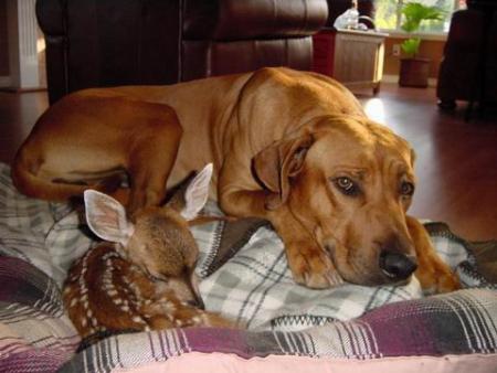 trop mimi!!!!!!!!!!!!!!