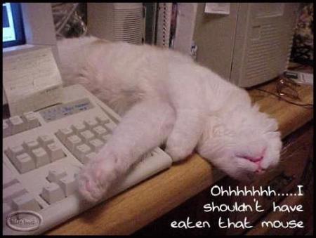 c est trop dur la vie