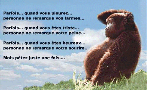 merci a tous ce qui pris de temps de visite  mon blog.