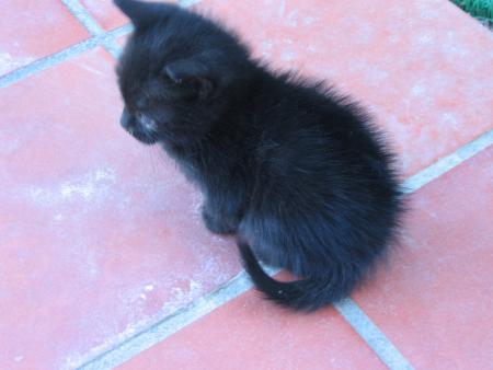 un des petits